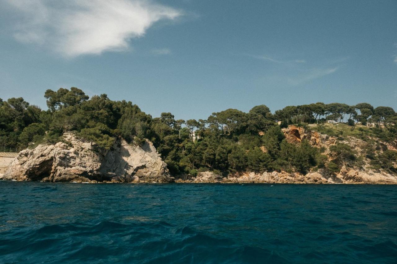 Exclusive Waterfront Villa - Cote Dazur Le Pradet Eksteriør billede