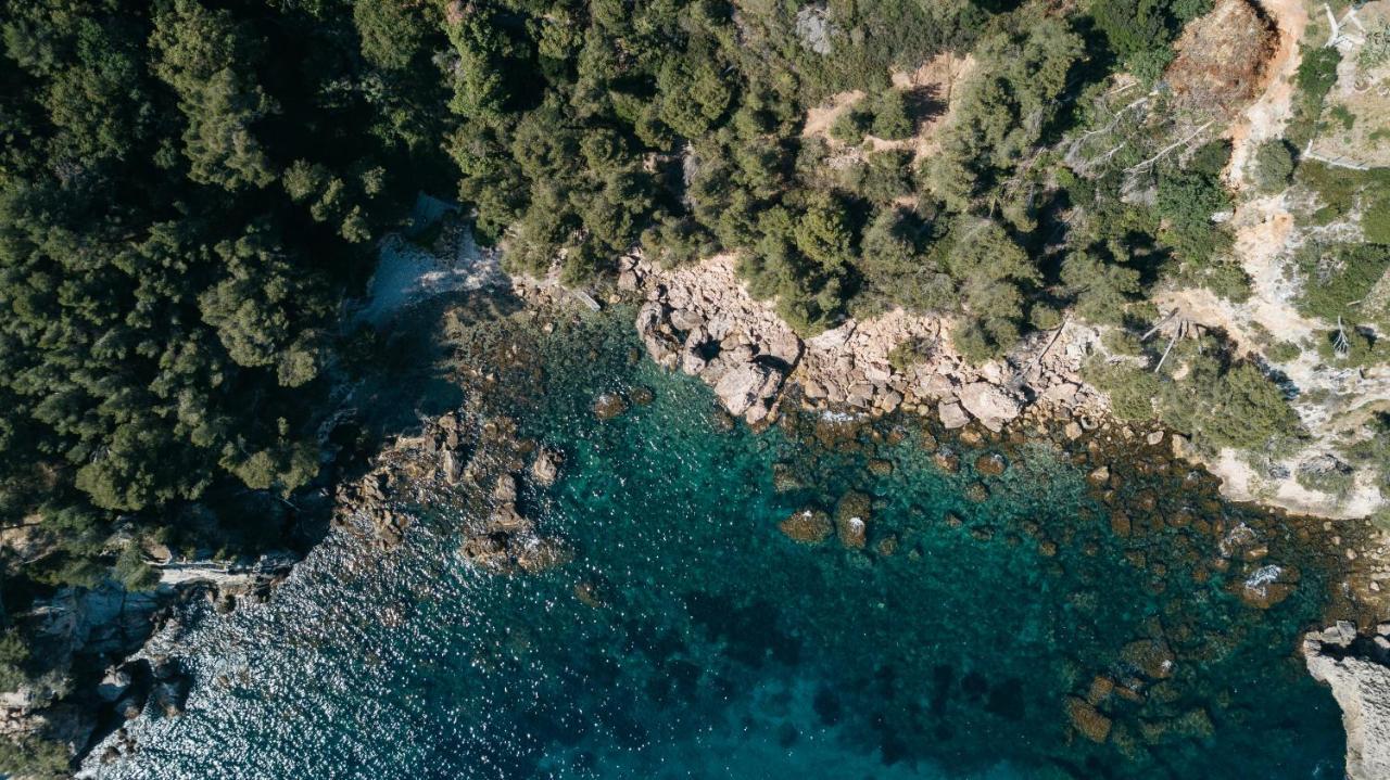 Exclusive Waterfront Villa - Cote Dazur Le Pradet Eksteriør billede